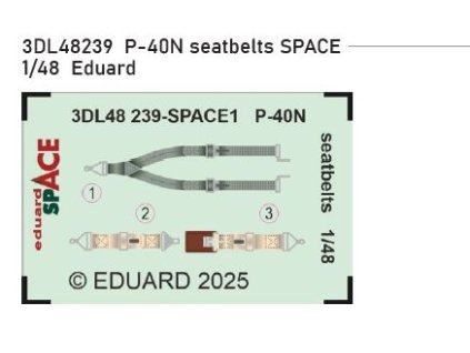 3DL48239 P 40N seatbelts SPACE 1 48 Eduard