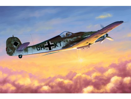 1/48 FW 190D-10