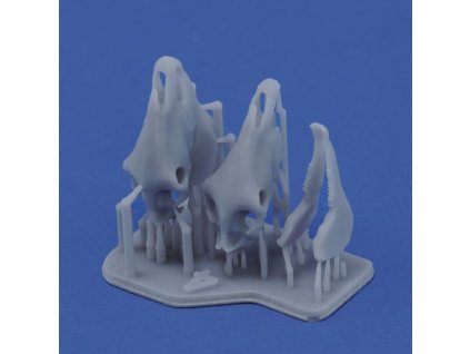 1/35 Horse skulls