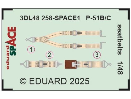 3DL48258 SPACE REKL P 51B C seatbelts 1 48 rev0