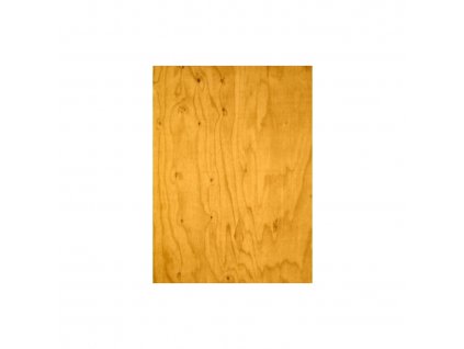 bright pine tree transparent 148 548003