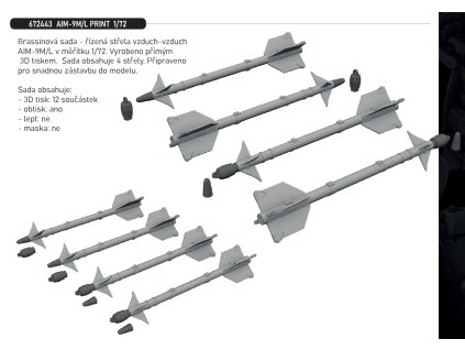 672443 AIM 9M L PRINT 1 72