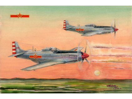 1/48 PLAAF P-51D/K Mustang