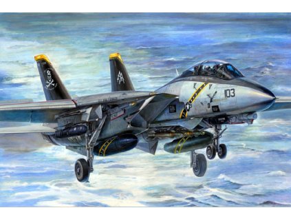 03202 F 14B Tomcat