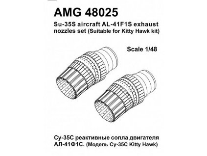 AMG48025