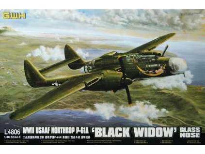 P 61A Black Widow Glass Nose L4806