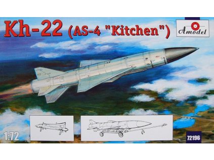 AMOD72196 L