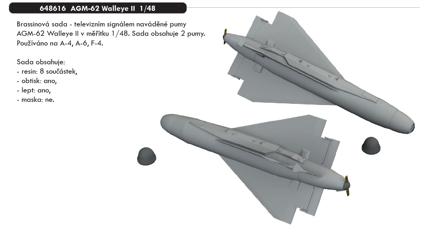 Fotografie 1/48 AGM-62 Walleye II
