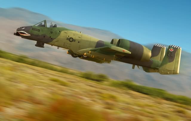 1/48 A-10A Thunderboldt II