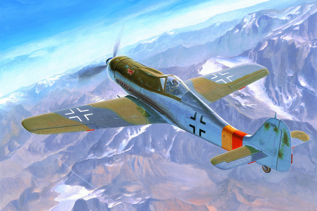 1/48 Focke Wulf FW190D-9