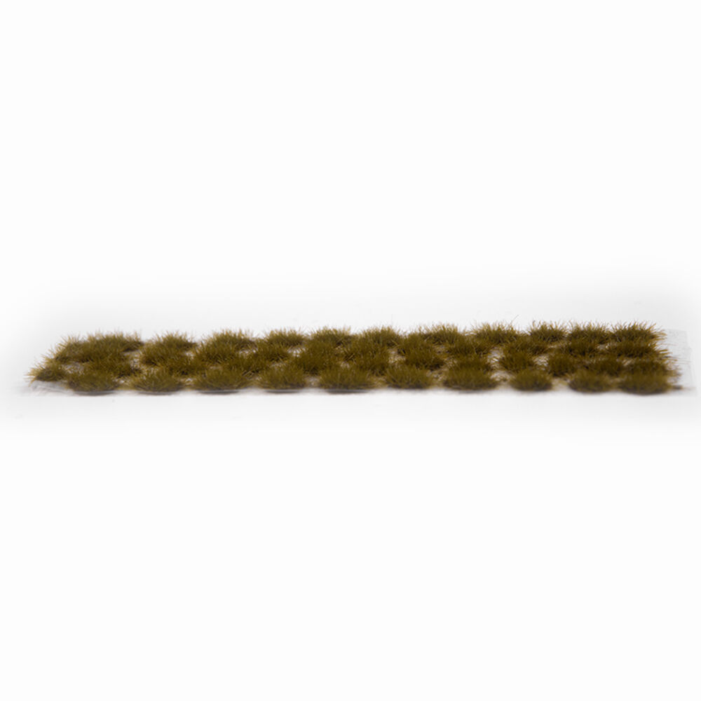 Fotografie Summer green tufts 2mm