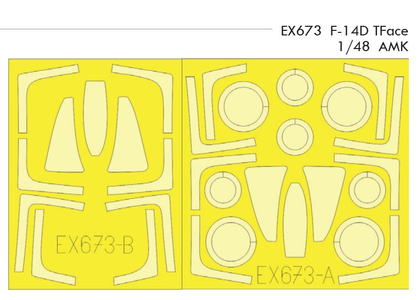 1/48 F-14D TFace (AMK)