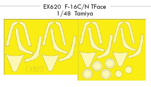 1/48 F-16C/N TFace (TAMIYA)