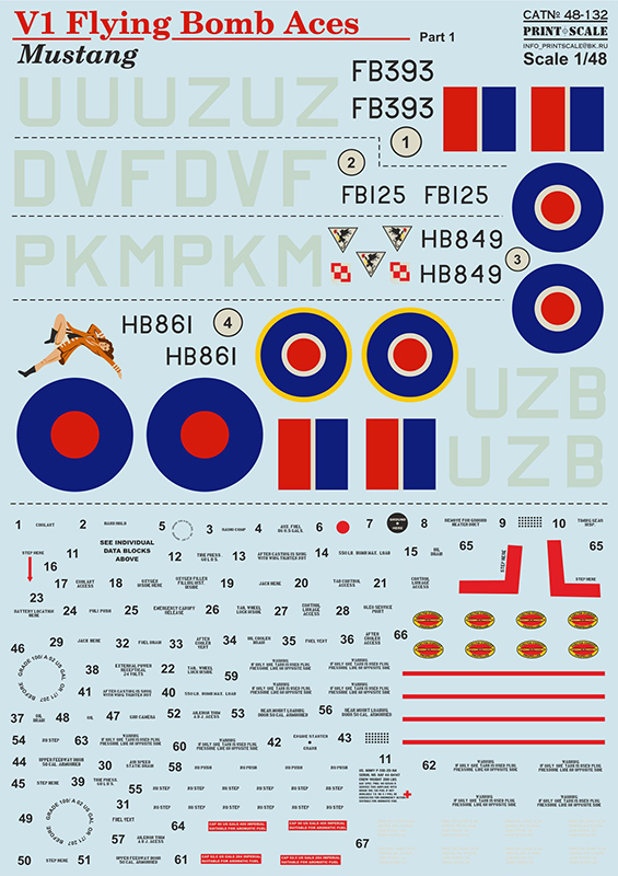 1/48 P-51 Mustang V1 Flying Bomb Aces (wet decals)