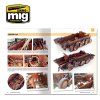 the modeling guide for rust and oxidation (1)