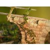 1/35 Plants & Weeds A