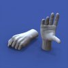 1/16 Assorted hands set No. 2