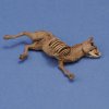 1/35 Donkey carcass