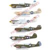 R0025 3 P 40N Warhawk DUAL COMBO Royal Class 1 48