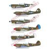 R0025 4 P 40N Warhawk DUAL COMBO Royal Class 1 48
