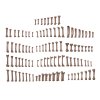 HUMAN BONES - BASING BITS 120 pieces