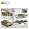 Panthers - Modeling the TAKOM Family (Anglicky)