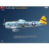 1/48 P-47N-2RE Thunderbolt (BASIC KIT)