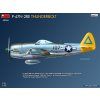 1/48 P-47N-2RE Thunderbolt (BASIC KIT)