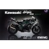 MT 002s Kawasaki Ninja H2 Pre colored