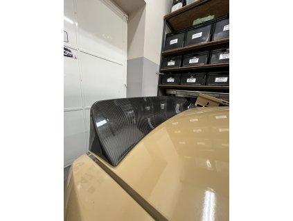 Zadní křídlo - Ducktail - Karbon