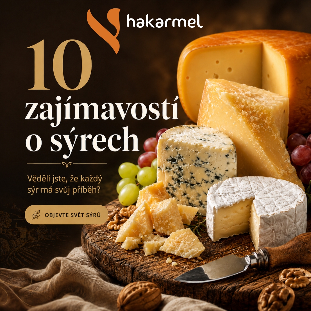 10 zajímavostí o sýrech, které jste možná nevěděli