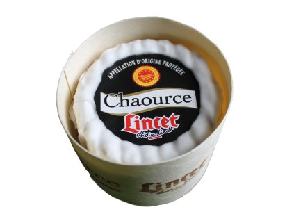 WhatsApp Image 2025 11 19 at 15.08.03