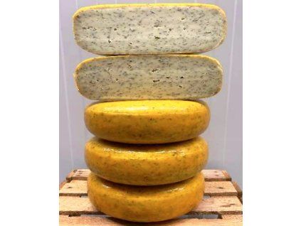 WhatsApp Image 2026 04 14 at 10.25.52