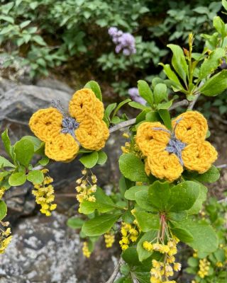 🎂 Páté narozeniny mého Kuby se blíží a spolužákům z třídy Žluťásci donese motýlky - klíčenky. Ještě jich uháčkuji tak 20 a...