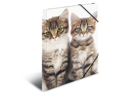 doska s gumickou pp a4 cats