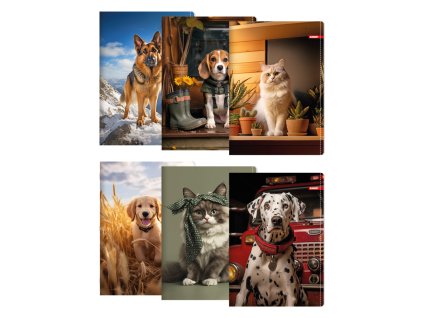 zosit a4 linajkovy 444 40 listovy exclusive pet