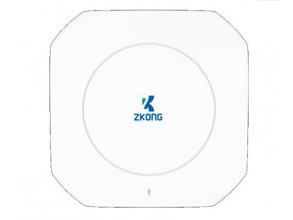 Zkong Wireless AP