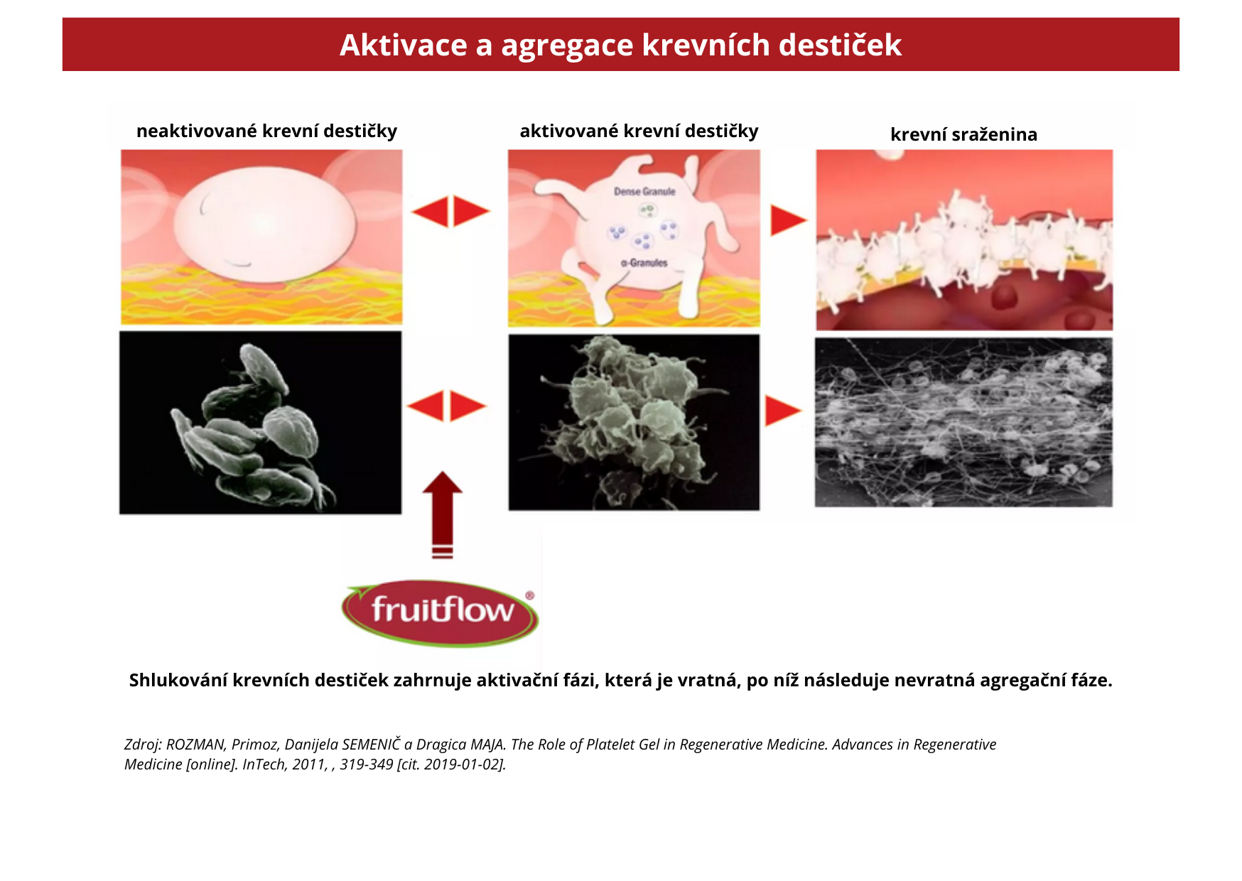 agreagce3(1)