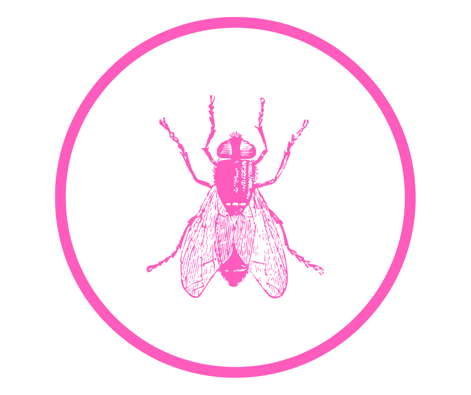 BUG
