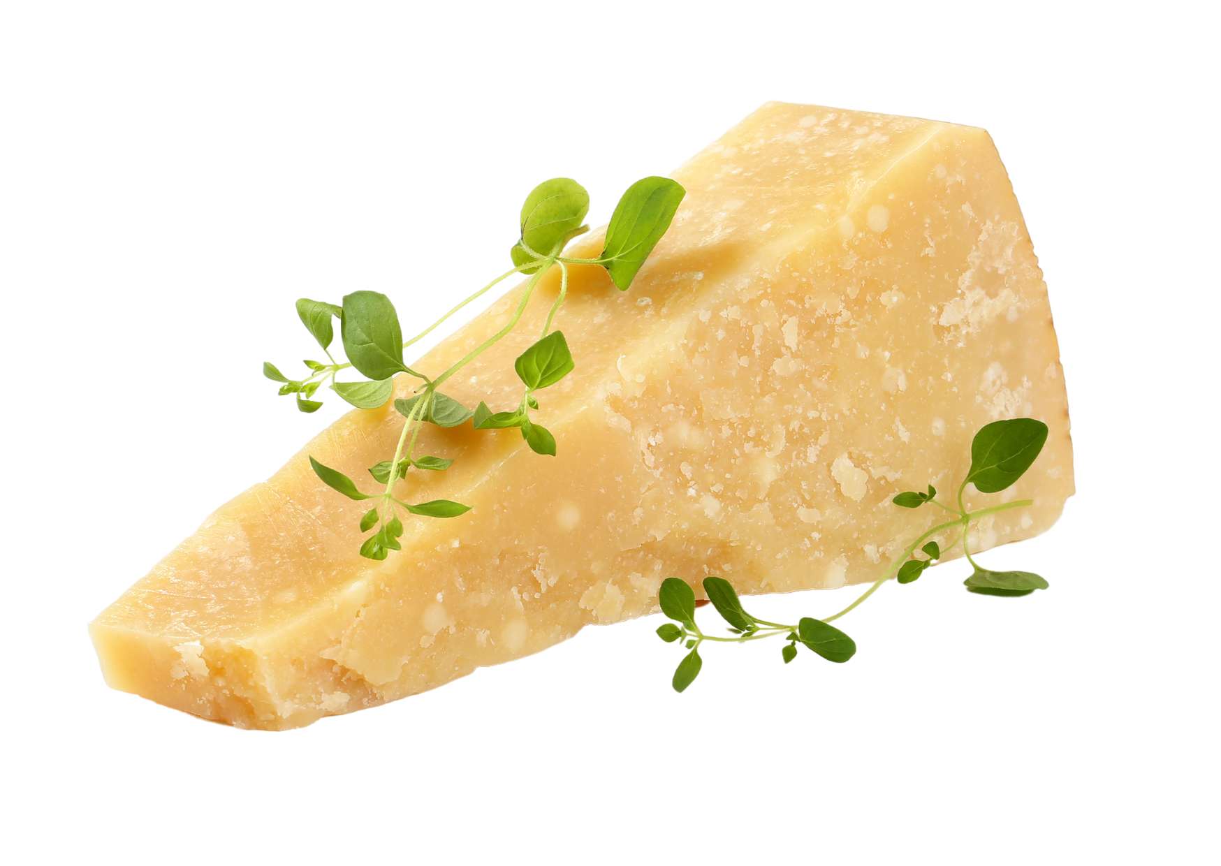 cheese