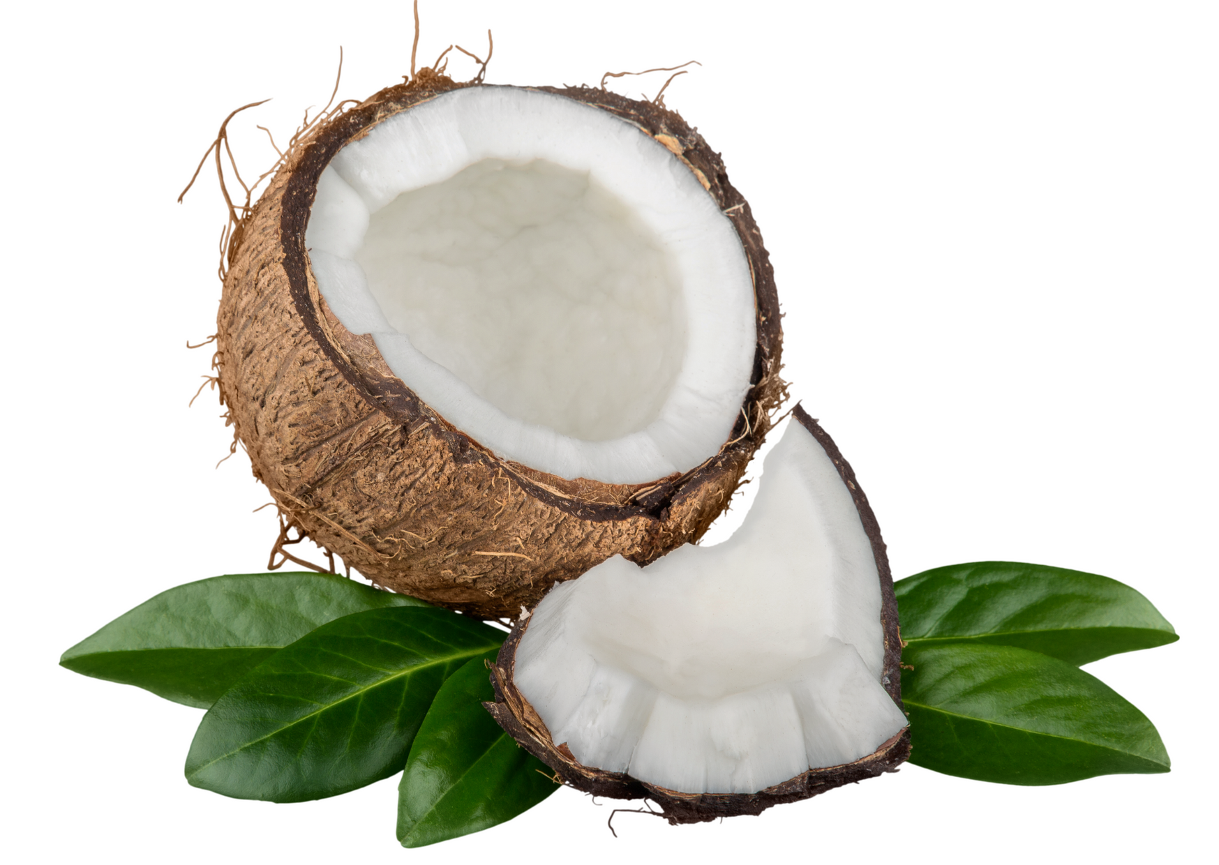 coconut