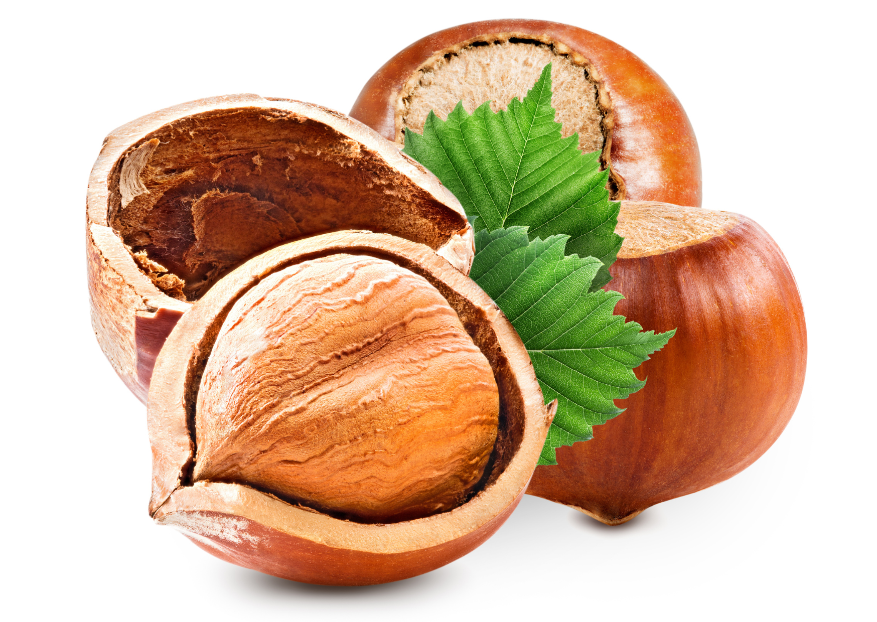 hazelnut
