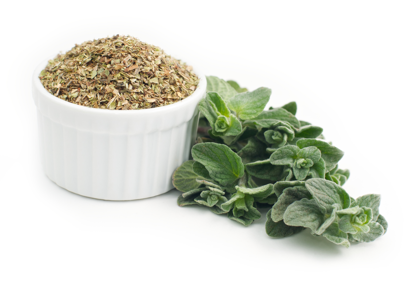 oregano