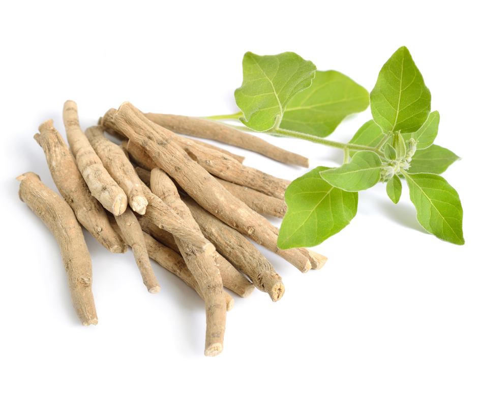 Ashwagandha