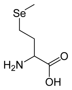 Selenomethionine-2D-skeletal