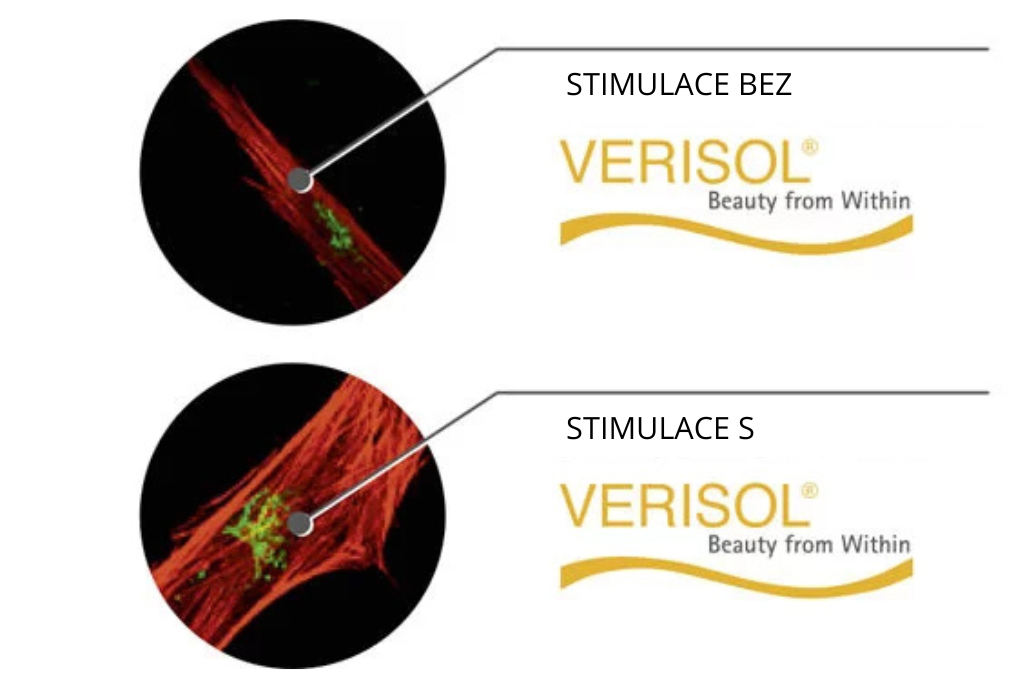 VERISOL