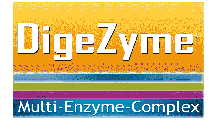 digezyme-multi-enzyme-complex-logo-vector