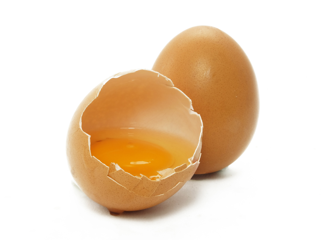 egg
