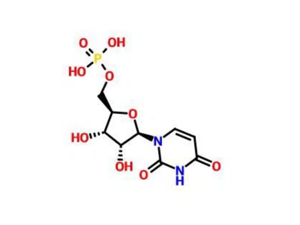 uridine