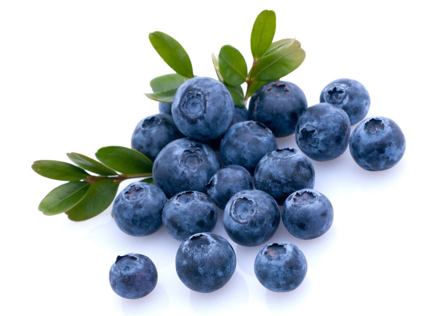 BLUEBERRY
